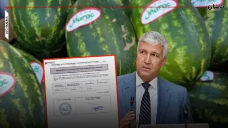 بعد الإنذارات الأوروبية..”الصديقي” يخصص أزيد من 300 مليون لتوعية المصدّرين المغاربة