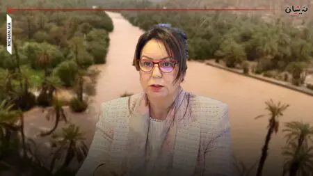 مطالب برلمانية بالتدقيق في أداء الوكالة الوطنية لتنمية الواحات وشجر الأركان لطيفة اليعقوبي مديرة وكالة تنمية مناطق الواحات والأركان