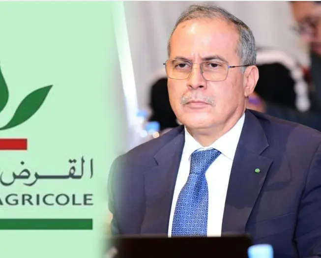 “خبير اقتصادي” يشكك في أرباح “القرض الفلاحي” ويطرح فرضيات “الربح الخفي”