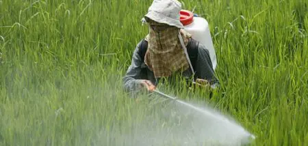 عكس التوجه العالمي..المغرب يرفع نسبة استخدام المبيدات في الفلاحة