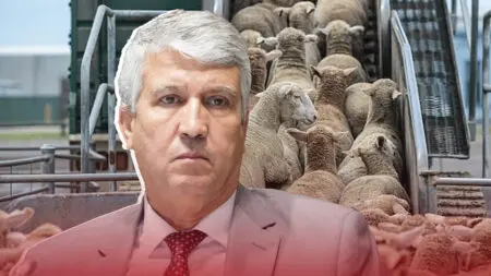 بعد فضائح الدعم..الحكومة تُعفي 885 ألف من الماشية من رسوم الاستيراد