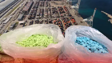ميناء طنجة..ضبط شحنة ضخمة من “الإكستازي” داخل علب أكل القطط