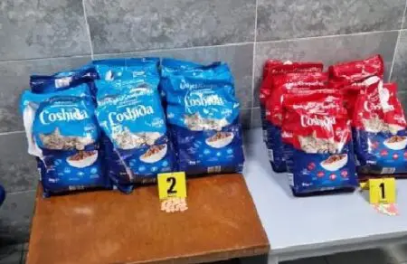 طنجة المتوسط.. إحباط محاولة تهريب 209 ألف قرص إكستازي