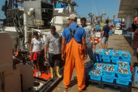 عاجل.. محكمة العدل الأوروبية تلغي اتفاقي الصيد والزراعة مع المغرب
