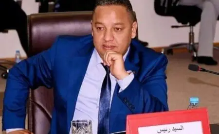 محكمة النقض تؤيد سجن قيادي بالاتحاد الدستوري 10 سنوات