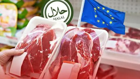 فضيحة اللحوم الحلال المغشوشة تهز أوروبا وسط مخاوف بشأن واردات المغرب