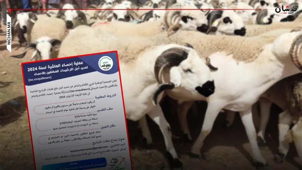 بعد الإحصاء السكاني..قرب انطلاق إحصاء الأغنام والماعز بالمغرب