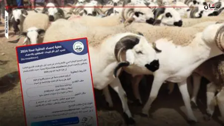 بعد الإحصاء السكاني..قرب انطلاق إحصاء الأغنام والماعز بالمغرب