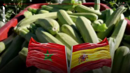 إسبانيا تسيطر على سوق “الكرعة” في أوروبا على حساب المغرب