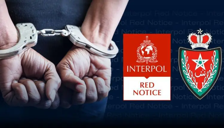 طنجة.. نشرة حمراء تطيح بدنماركي مطلوب ضمن عصابة إجرامية