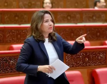 استراتيجية بنعلي الطاقية.. إصلاح حقيقي أم إعادة تدوير للوعود؟