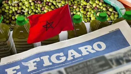 لوفيغارو : زيت الزيتون في المغرب يتحول إلى “منتج فاخر”