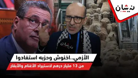 الأزمي..اخنوش وحزبه استفادوا من 13 مليار درهم لاستيراد الأغنام والأبقار