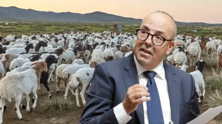 “وزيعة” ملايير الدعم ..التصريح بقطعان أغنام وماعز “وهمية” ومطالب بفتح تحقيق