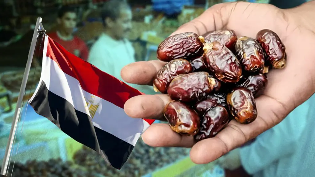 استعدادا لرمضان..مصر تصبح المصدر الرئيسي للتمور في السوق المغربي
