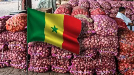 السنغال توقف واردات البصل: هل يؤثر قرارها على الأسعار في السوق المغربية؟