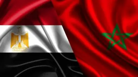 شركات مصرية تستثمر 200 مليون دولار بـ4 مشاريع صناعية في المغرب