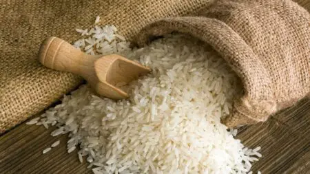 حكومة اليابان تفرج عن احتياطي مخزون الأرز في مواجهة ارتفاع الأسعار
