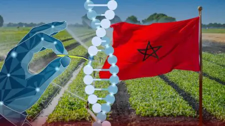 المغرب يستفيد من تقنية CRISPR لتحرير الجينات في مجال الزراعة