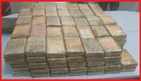 الكلاب المدربة تفضح محاولة تهريب 183 كيلو غرام من الكوكايين