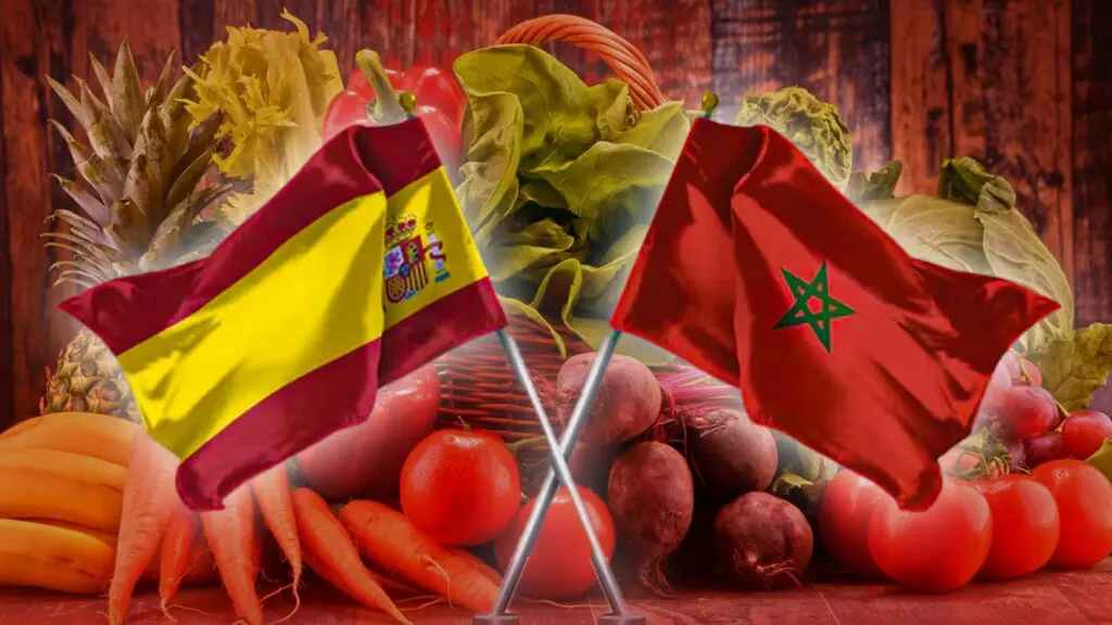 فواكه وخضروات..المغرب يحقق فائضًا تجاريًا مع إسبانيا بقيمة 975 مليون يورو