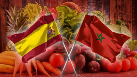 فواكه وخضروات..المغرب يحقق فائضًا تجاريًا مع إسبانيا بقيمة 975 مليون يورو