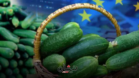الخيار المغربي يباع بـ 3 دارهم في الأسواق الأوروبية