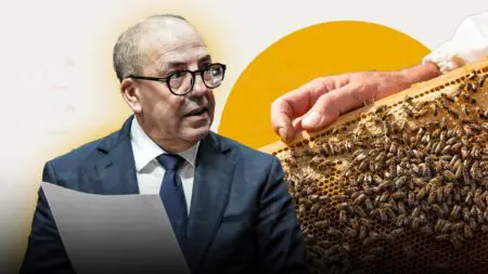 اختفاء النحل في المغرب.. البرلمان يسائل الحكومة عن تدابير المواجهة