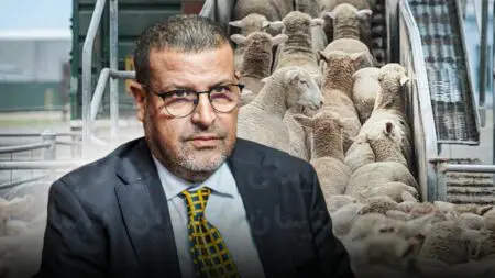 بعد تضارب التصريحات..مطالب بتشكيل “لجنة تقصي الحقائق” في ملف دعم استيراد الأغنام