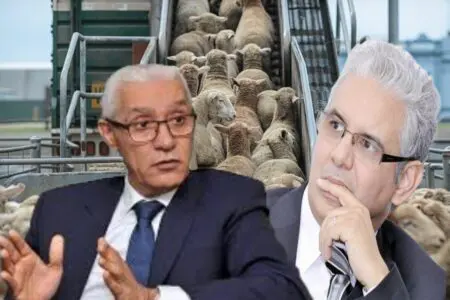 وأخيرا الطالبي العلمي يعترف: ما قاله بركة بوجود جشع كبير من الربح في بيع أضحيات العيد صحيح!