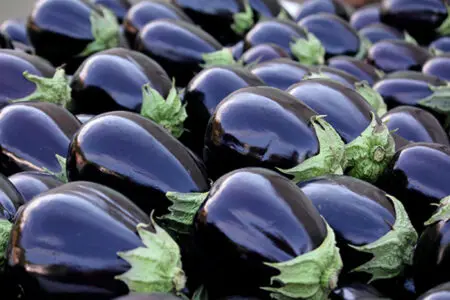 أسعار الخضر تلتهب في المغرب و تتراجع في اسبانيا