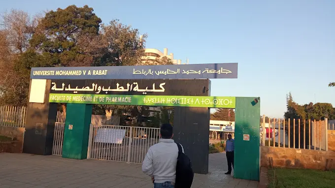 صفقة غريبة.. كلية الطب بالرباط تطلق سند طلب لاقتناء 40 خنزيرا