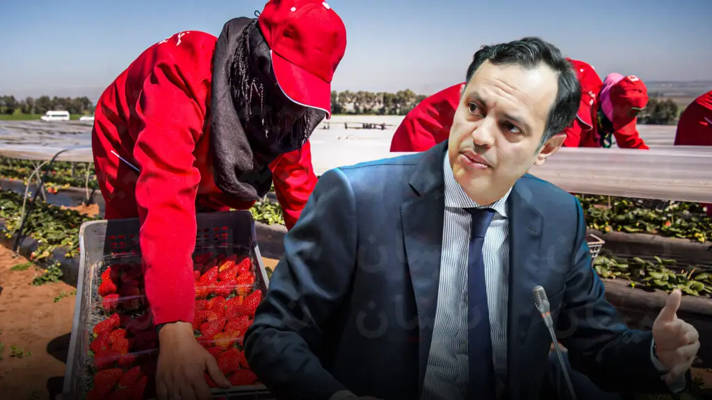 رغم تعاقب البرامج الحكومية.. معدل نشاط المغربيات يتراجع منذ ربع قرن