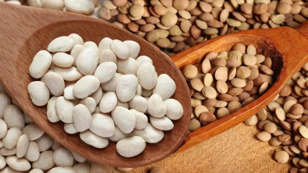ارتفاع واردات العدس والفاصوليا في المغرب خلال بداية 2025