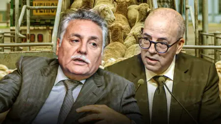 التقدم والاشتراكية يجدد انتقاده لدعم مستوردي الأغنام: “نزيف مالي بلا جدوى”