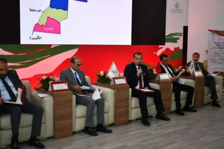 هل يمكن للوساطة والتحكيم احتواء منازعات مجالس العمالات والأقاليم؟