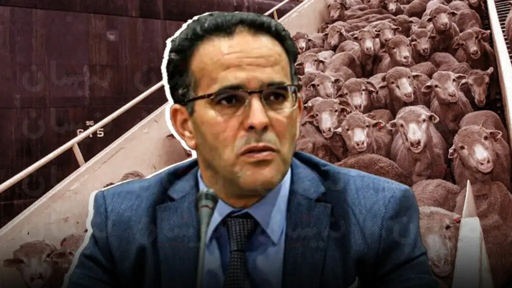 الغلوسي: محاولات سياسية لدفن فضيحة 1300 مليار بدل فتح تحقيق قضائي