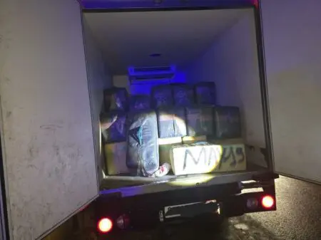 الدرك يحبط عملية لتهريب المخدرات بالجديدة ويحجز 2250 كيلوغرامًا