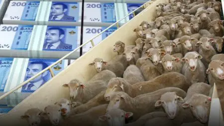 البيجيدي يحذر من تكرار “وزيعة” دعم استيراد الأضاحي