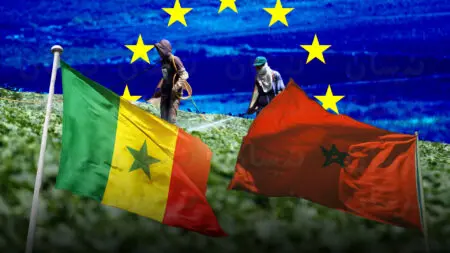 مزارعو ألميريا يطالبون بحماية أوروبية من المنافسة المغربية والسنغالية