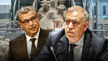 دعم “القطيع” خارج يد أخنوش..الملك يكلف الداخلية بعد فضيحة 13 مليار درهم