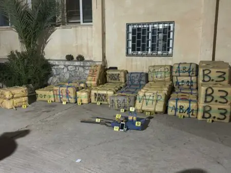 مواجهة بالسيوف والرصاص تنتهي بسقوط مهربي مخدرات في وادي زم