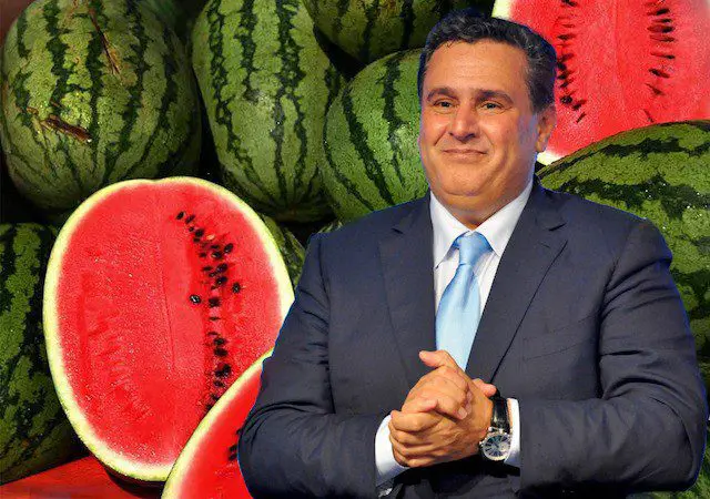 “الدلاح” يتمرد على قرارات المنع.. هل فشلت الدولة في كبح زراعة البطيخ الأحمر؟ (تحقيق)