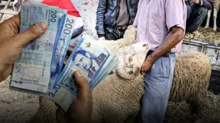 تأخر صرف الدعم يهدد صغار مربي الماشية بالجنوب الشرقي