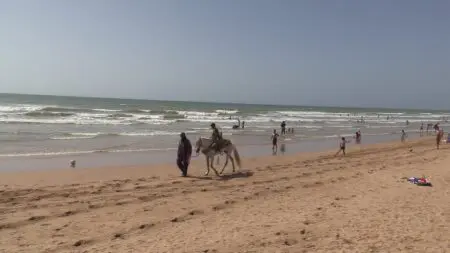 حماة المستهلك يطالبون عامل العيون بحماية المصطافين من الغش والاحتكار
