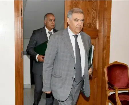 مشاريع استثمارية معلقة فوق أراضٍ سلالية بالراشيدية تُحرج وزارة الداخلية وزير الداخلية عبدالوافي لفتيت (أرشيف)