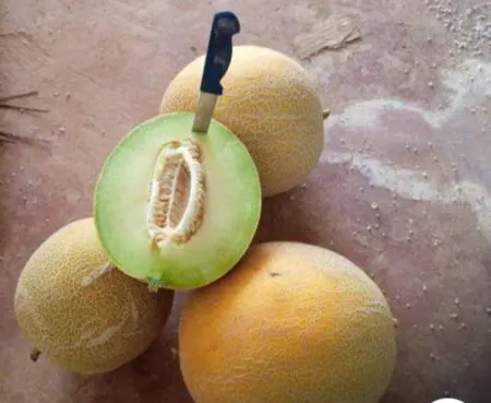 “سويهلة” بنكهة “الغاز” و “المازوط” تغضب المستهلكين المغاربة