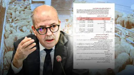 بعد صرف 113 مليار كدعم… أين اختفت ملايين الأغنام؟