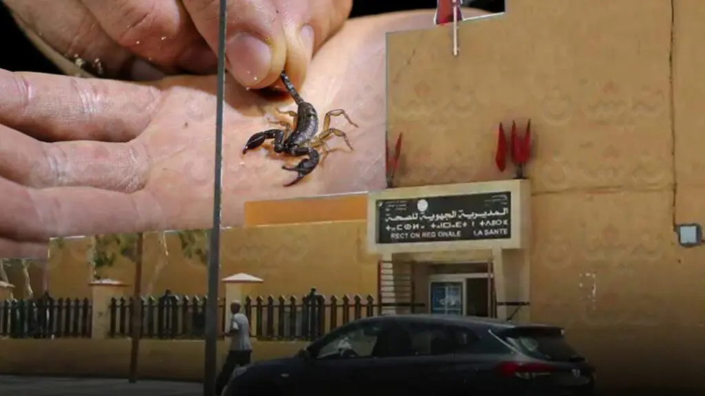 مصدر من وزارة الصحة: 90% من العقارب غير سامة… ولدغات الأفاعي تحت السيطرة
