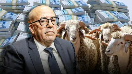 فضيحة دعم الأغنام والماعز: أين ذهبت ملايين الدراهم؟